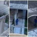 Suspeito de matar cão a tiros em Pará de Minas foi preso por maus-tratos