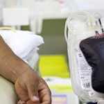 Dia Nacional do Doador de Sangue reforça importância da doação para salvar vidas