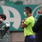 Palmeiras aposta em 'trunfo mental' para sequência e 'final' com Botafogo
