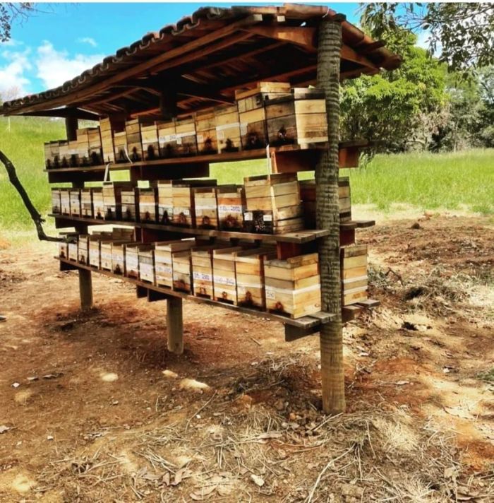 Pequena estrutura sombreada, abriga várias colmeias