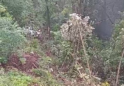 Carros batem e caem em barranco na BR-040 em Nova Lima (MG)