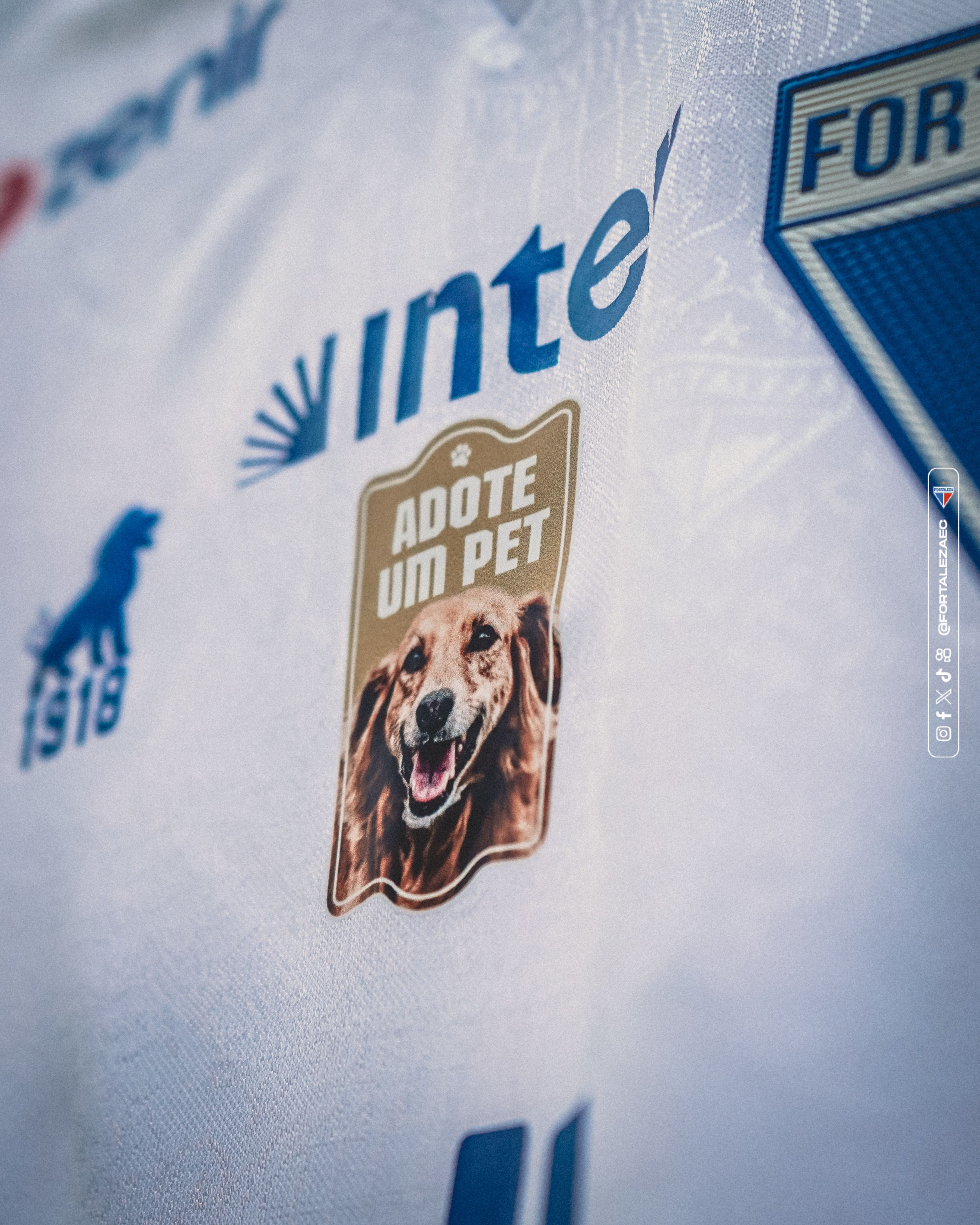 Atlético-GO e Fortaleza fazem campanha por adoção de animais em jogo do Brasileirão