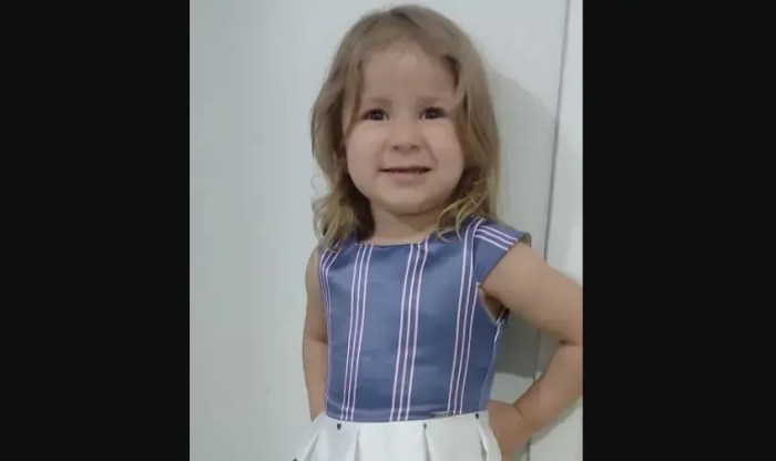Foto de Ágata foi compartilhada nas redes sociais por Marta Santos, da família acolhedora da menina