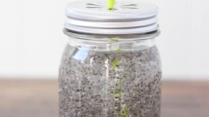 Água com chia em jejum para que serve, quanto tomar e em quanto tempo faz efeito