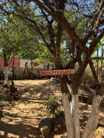 Veja fotos do Quilombo São Domingos