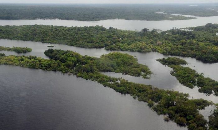 XPRIZE: final da competição sobre mapeamento da biodiversidade acontece no Amazonas | CNN Brasil