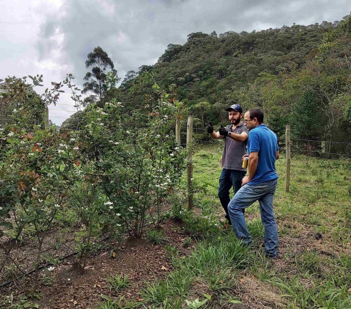 Extensionista da Emater-MG, Rodrigo Cavalcanti conversa com  produtor Danilo Costa