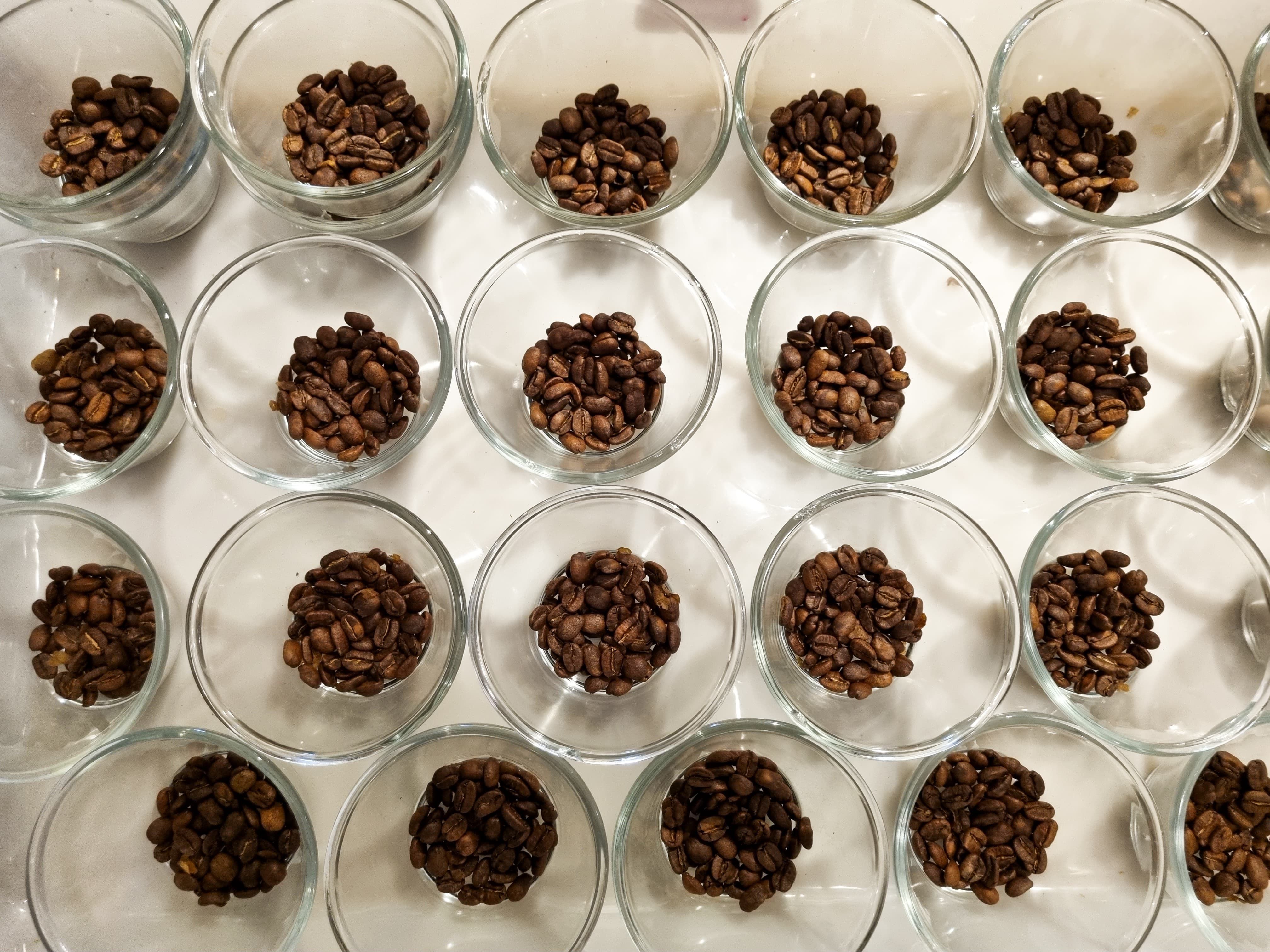 Prêmio 'Cofee of the Year' recebe mais de 500 inscrições, vencedor será anunciado na SIC 2024