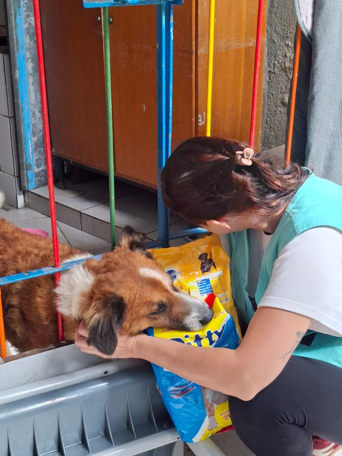 Grupo de Resposta a Animais em Desastres realiza resgate de 35 animais em Juiz de Fora