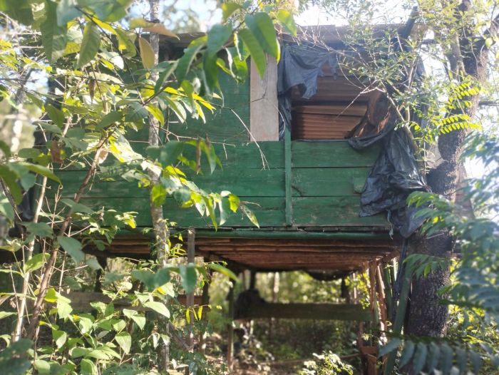 APREENSAO maconha minas.jpg