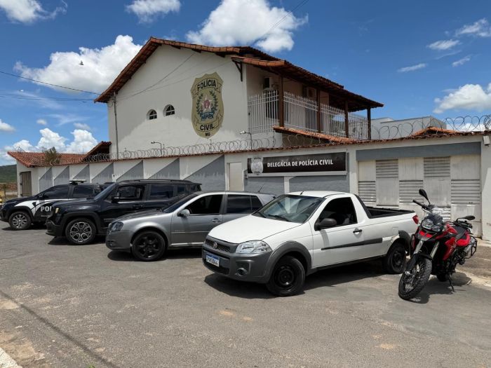 Durante a operação, dez carros foram apreendidos pela Polícia Civil 