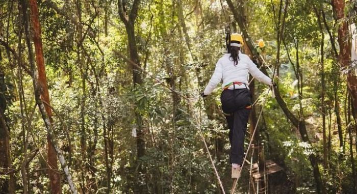 Para os aventureiros, a Pousada Verde Folhas oferece arvorismo e tirolesa
