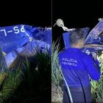 Piloto morre após avião bater em torre de transmissão e cair em Goiás