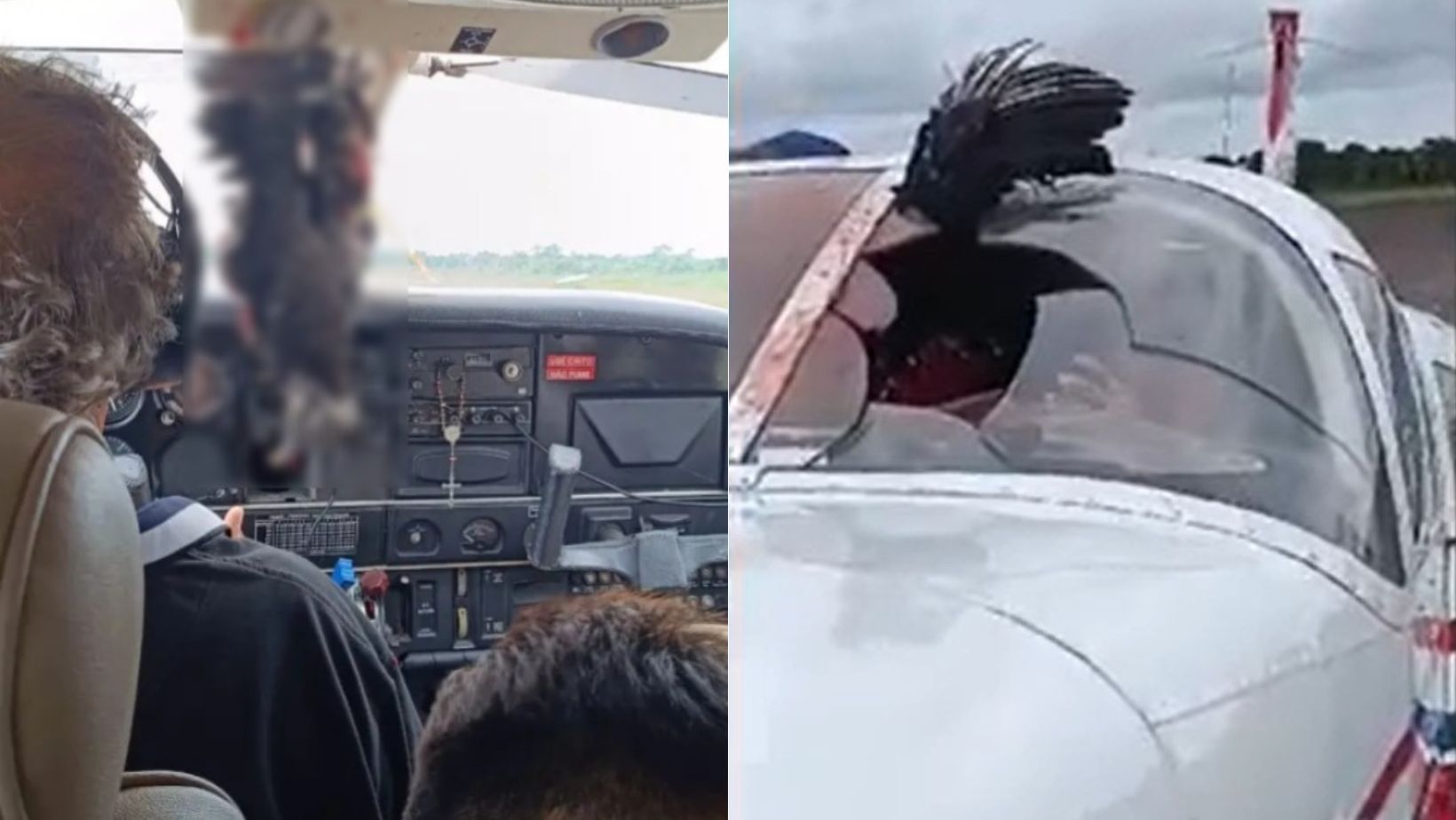 Avião colide com urubu que fica pendurado em para-brisa durante pouso no Amazonas; veja vídeo