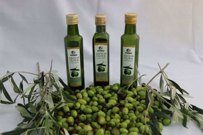 Azeites também terão vez na Expoagro