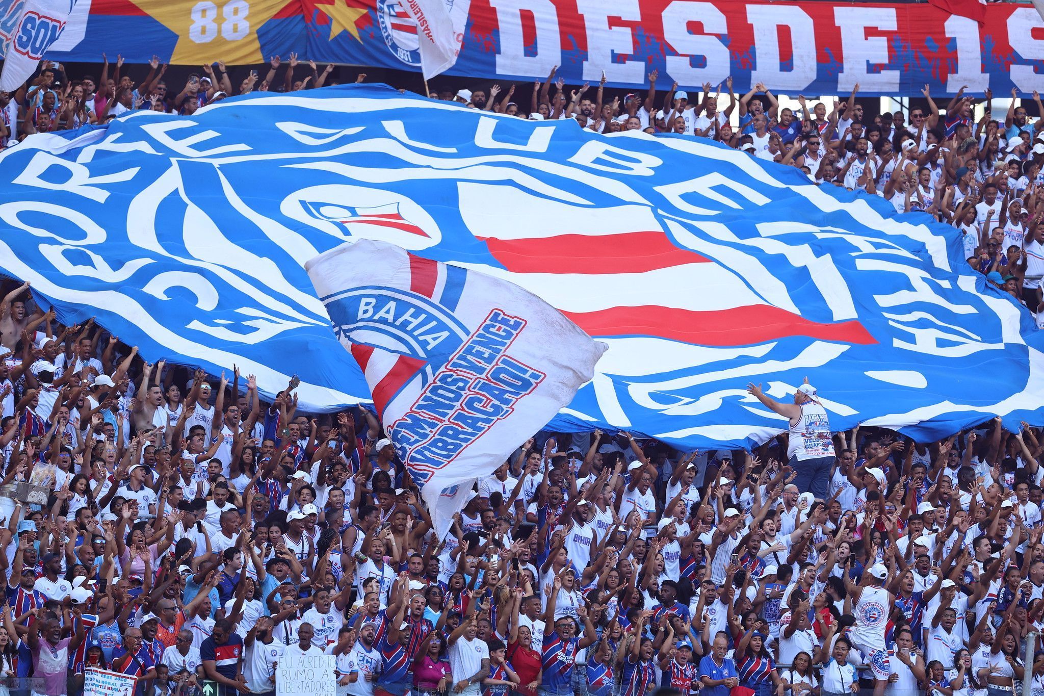 Bahia supera sua melhor campanha na era dos pontos corridos