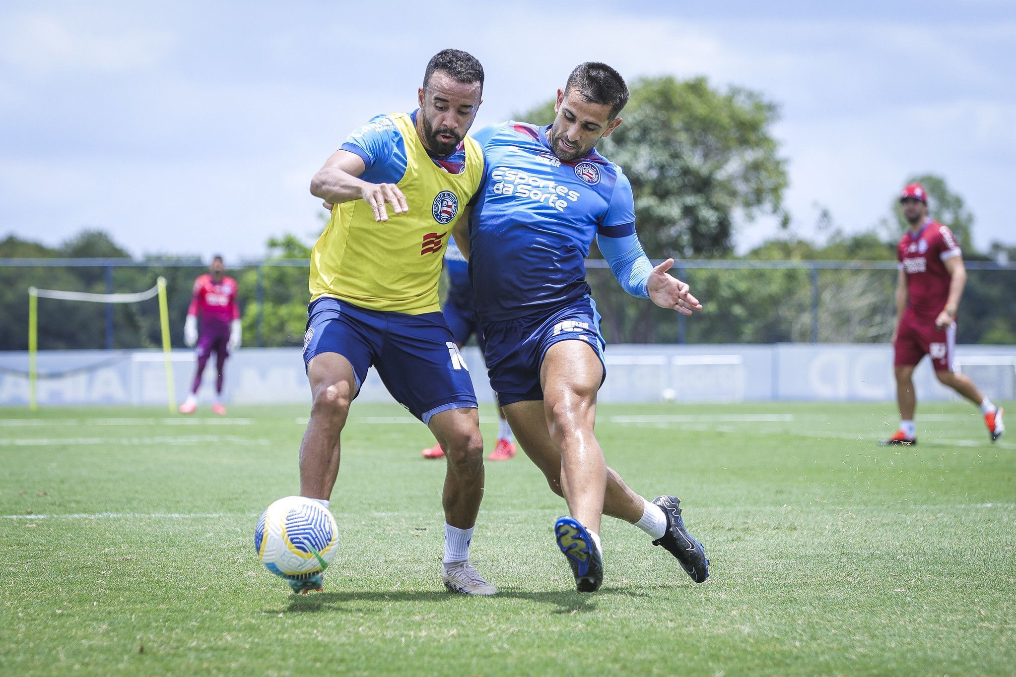 Após folga, Bahia retoma preparação para enfrentar Cruzeiro; saiba detalhes