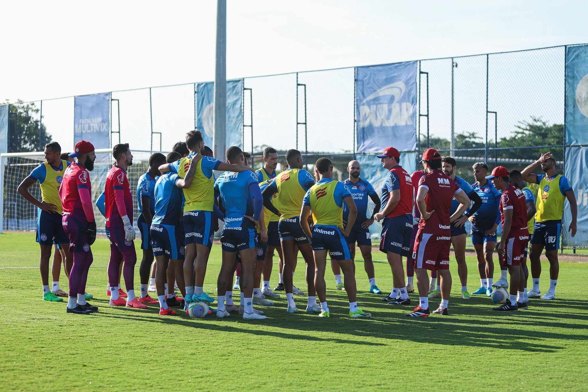 Entenda por que Bahia 'torce' por final entre Atlético e Botafogo na Libertadores