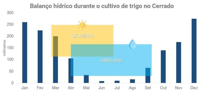 Balanço hídrico característico da região dos cerrados do Brasil estimado com base na média histórica