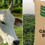 Café e boi sobem enquanto cafeicultores e pecuaristas se afastam do mercado