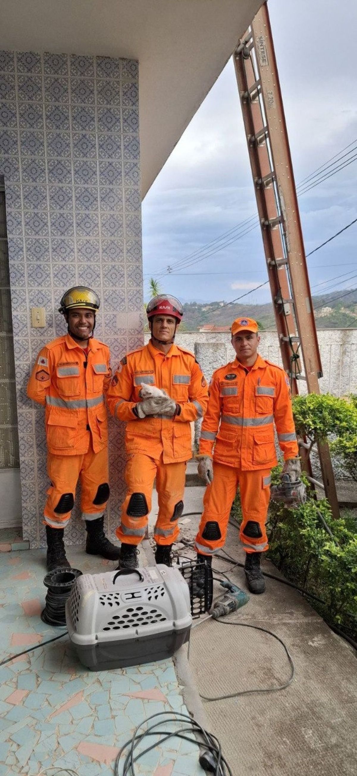 'Entrou pelo cano:' bombeiros resgatam filhote de gato preso dentro de parede em Santa Luzia