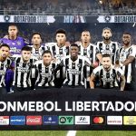 Botafogo na final da Libertadores: 5 dicas para uma viagem tranquila à Argentina