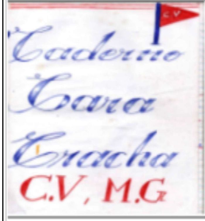 Bozó instituiu um sistema organizado de credenciamento e registro de novos integrantes do CV: o 'cara/crachá'
