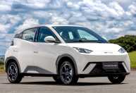 BYD Dolphin Mini lidera as vendas no varejo em fevereiro; veja o ranking