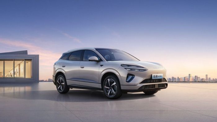 BYD Sealion 06