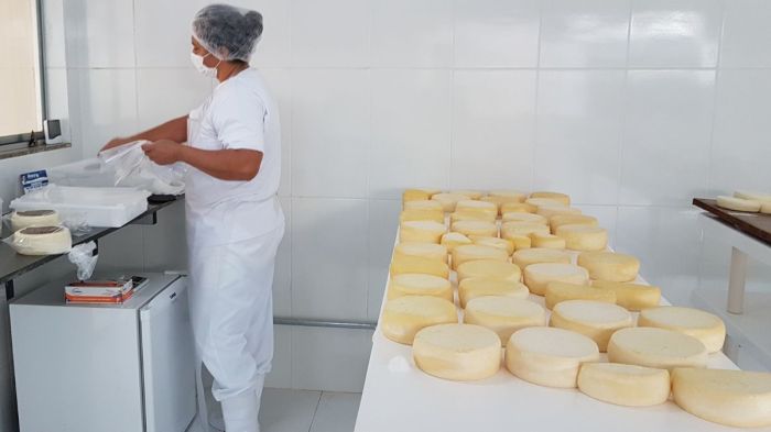 Produção de queijo