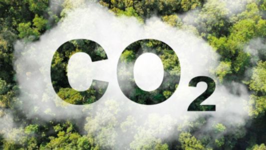 Mercado de carbono avança no Brasil, mas exige cautela no campo