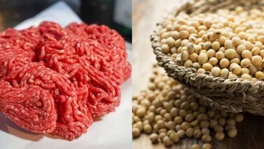 México e Filipinas abrem as portas para carne moída e soja brasileira