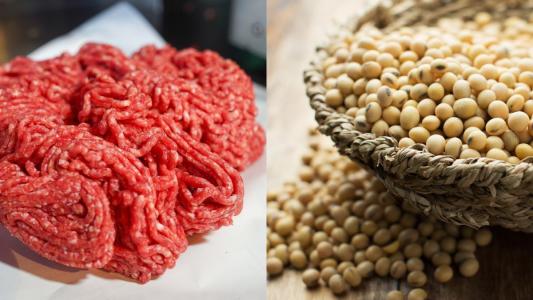 México e Filipinas abrem as portas para carne moída e soja brasileira