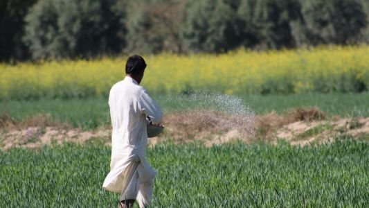 Nova crise do petróleo e insumos? Guerra no Irã pode encarecer agronegócio no Brasil