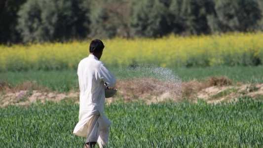 Nova crise do petróleo e insumos? Guerra no Irã pode encarecer agronegócio no Brasil