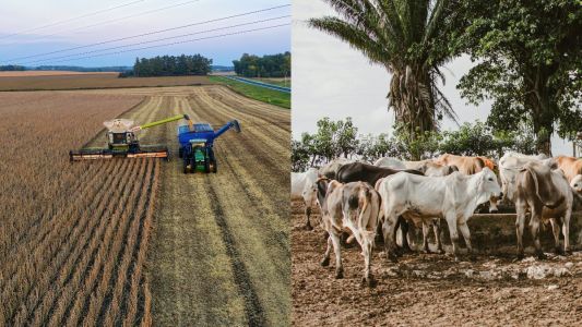 VBP da agropecuária deve cair 4,6%, com faturamento de R$ 1,4 trilhão em 2026