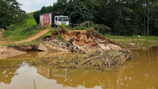 Chuvas em MG: 26% dos produtores rurais foram afetados e 142 animais mortos no campo