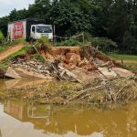Chuvas em MG: 26% dos produtores rurais foram afetados e 142 animais mortos no campo