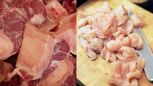 Carne bovina e de aves do Brasil conquistam mercado inédito