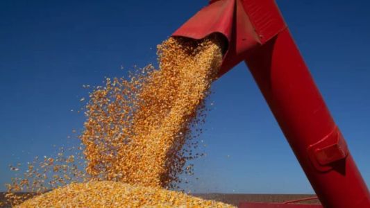 Guerra no Oriente Médio preocupa exportações de milho do Brasil para o Irã