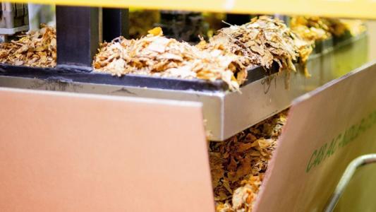 Exportações de tabaco do Brasil batem recorde e somam US$ 3,38 bilhões em 2025