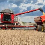 Colheita de soja avança no Tocantins com boa produtividade e margens apertadas