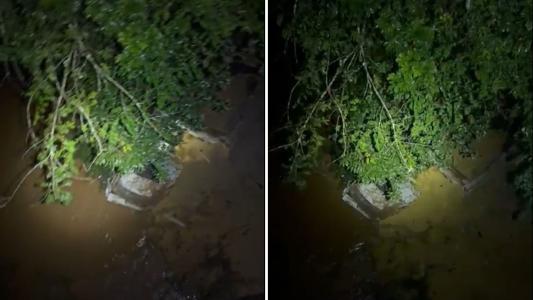 Caminhoneiro morre após veículo cair cerca de 15 metros de uma ponte em MG
