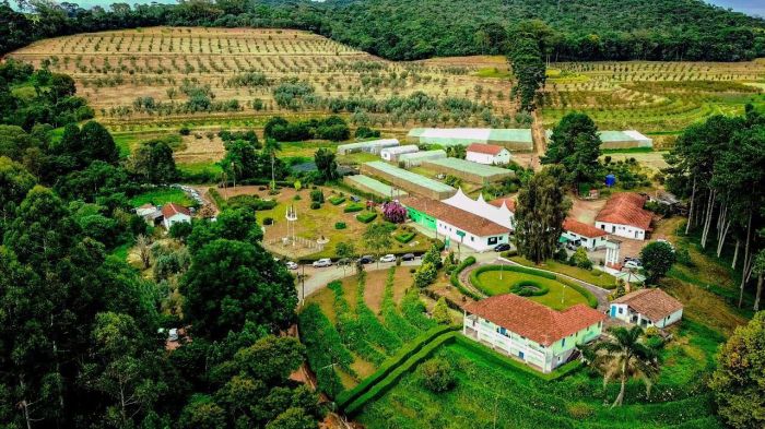 Campo Experimental da Epamig em Maria da Fé 