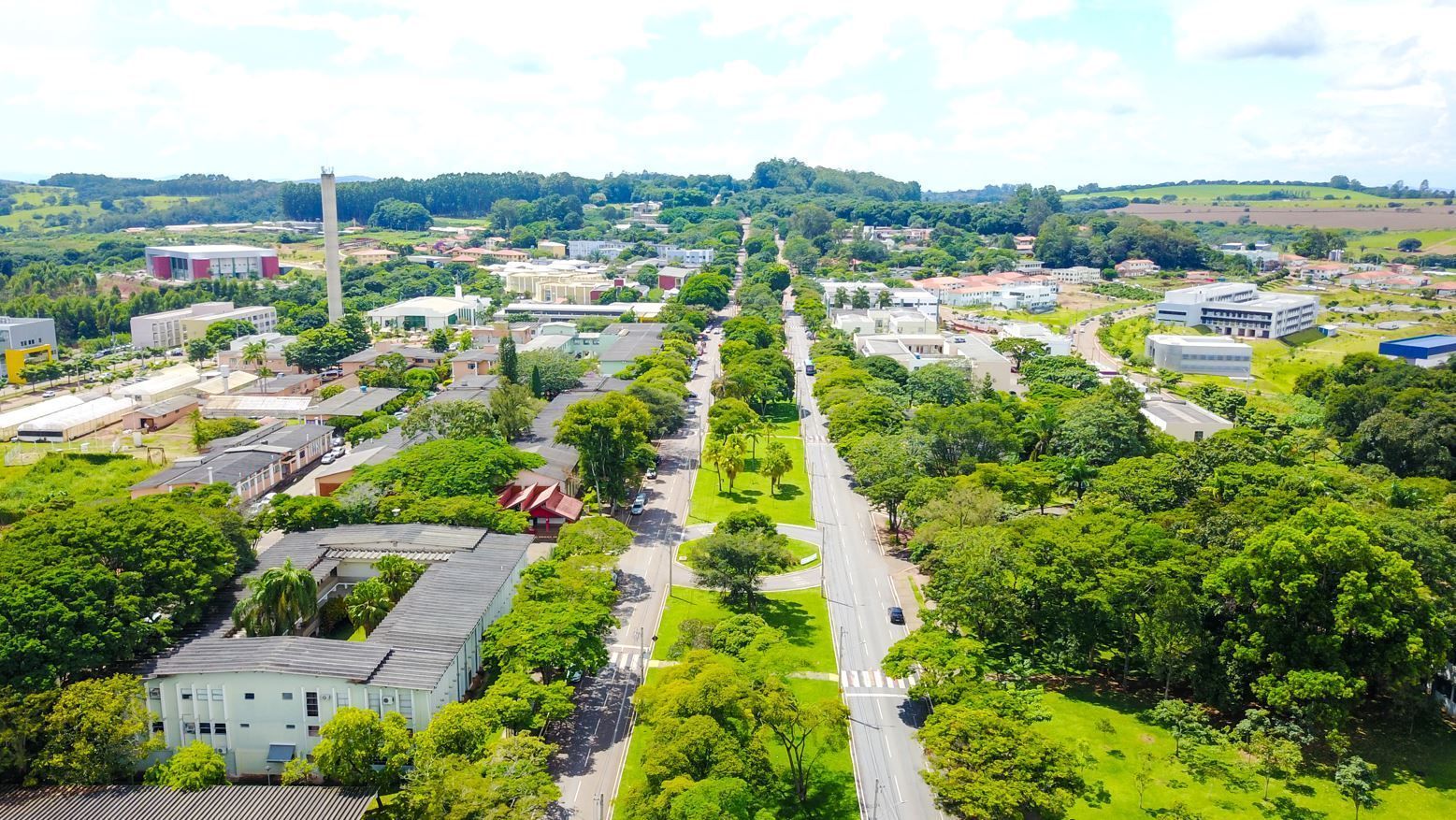 Sorvete de inhame é patenteado pela Universidade Federal de Lavras