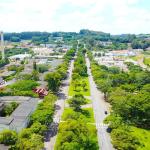 Sorvete de inhame é patenteado pela Universidade Federal de Lavras