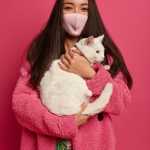 Outubro Rosa pet: Newton Paiva oferece consultas gratuitas para combater câncer de mama em animais