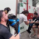 Vídeo: paciente em tratamento de câncer reencontra cãozinho e emociona hospital em MG