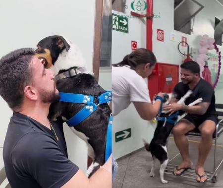 Conforme o levantamento, os casos no cólon e reto devem acometer 15.070 homens e 17.530 mulheres, ficando em terceiro lugar entre eles e segundo entre elas. De acordo com o ministro da Saúde, Alexandre Padilha, existe a possibilidade da criação de um