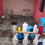 PM resgata 12 cães em situação de maus-tratos em canil clandestino em São Paulo